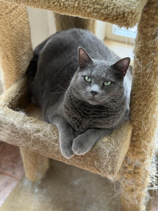 Jax uploaded   301  day/s  ago