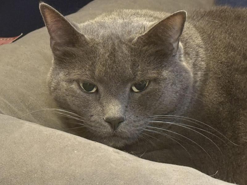 Jax uploaded   36  day/s  ago