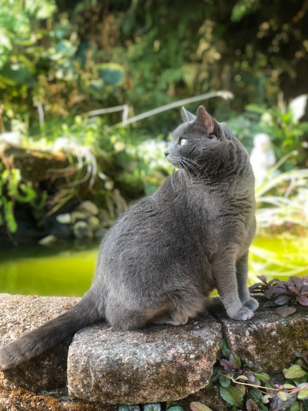 Jax uploaded   3 year/s ago