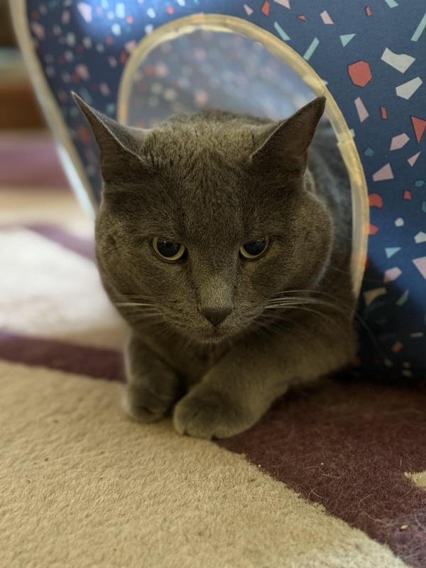 Jax uploaded   313  day/s  ago