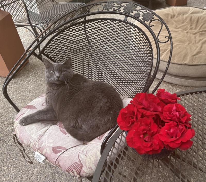 Jax uploaded   309  day/s  ago