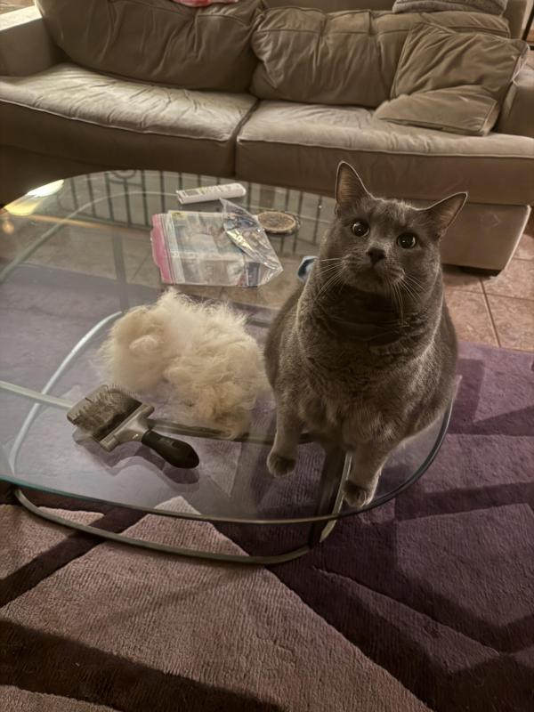 Jax uploaded   36  day/s  ago