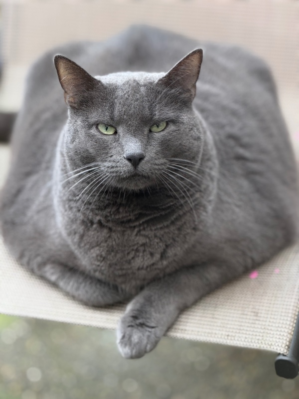 Jax uploaded   29  day/s  ago