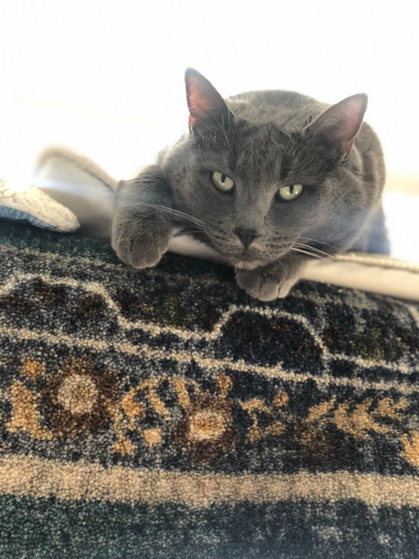 Jax uploaded   340  day/s  ago