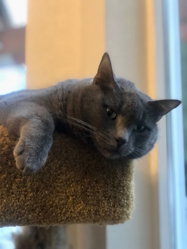 Jax uploaded   1 year/s ago