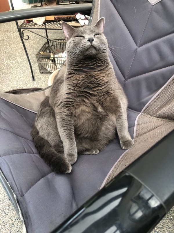 Jax uploaded   1 year/s ago