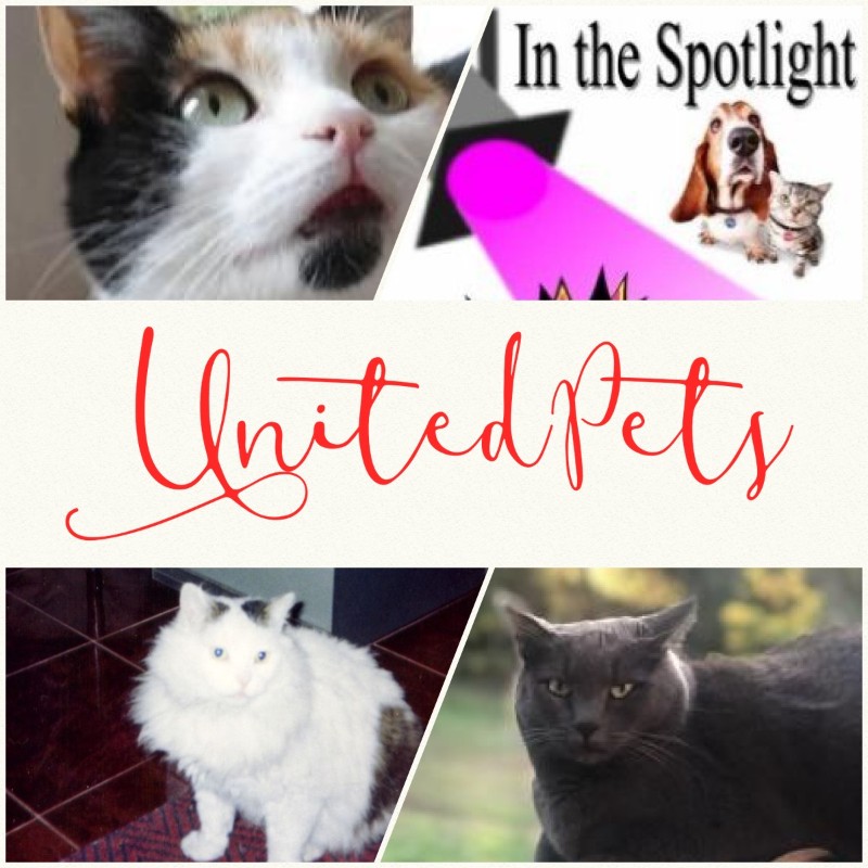 Jax uploaded   2 year/s ago
