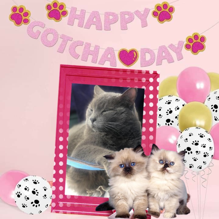 Jax uploaded   53  day/s  ago