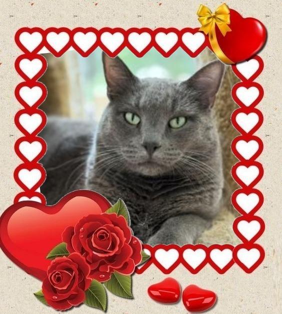 Jax uploaded   53  day/s  ago