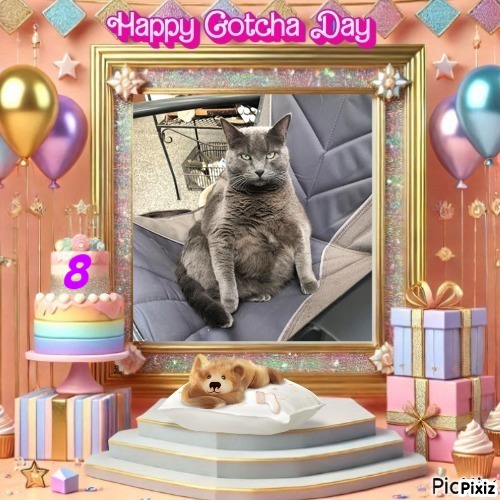 Jax uploaded   53  day/s  ago