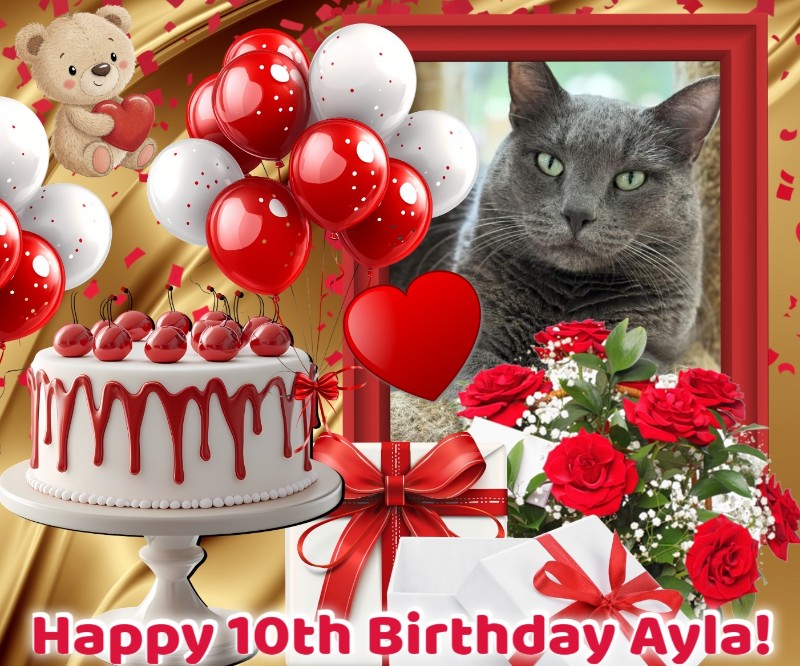 Ayla of the Jax family