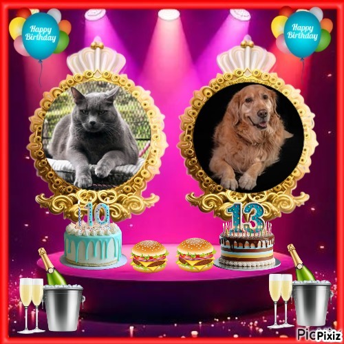 Ayla of the Jax family