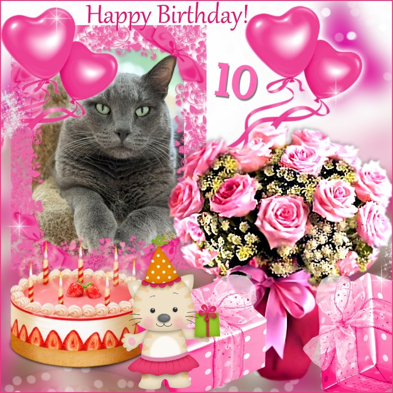 Ayla of the Jax family