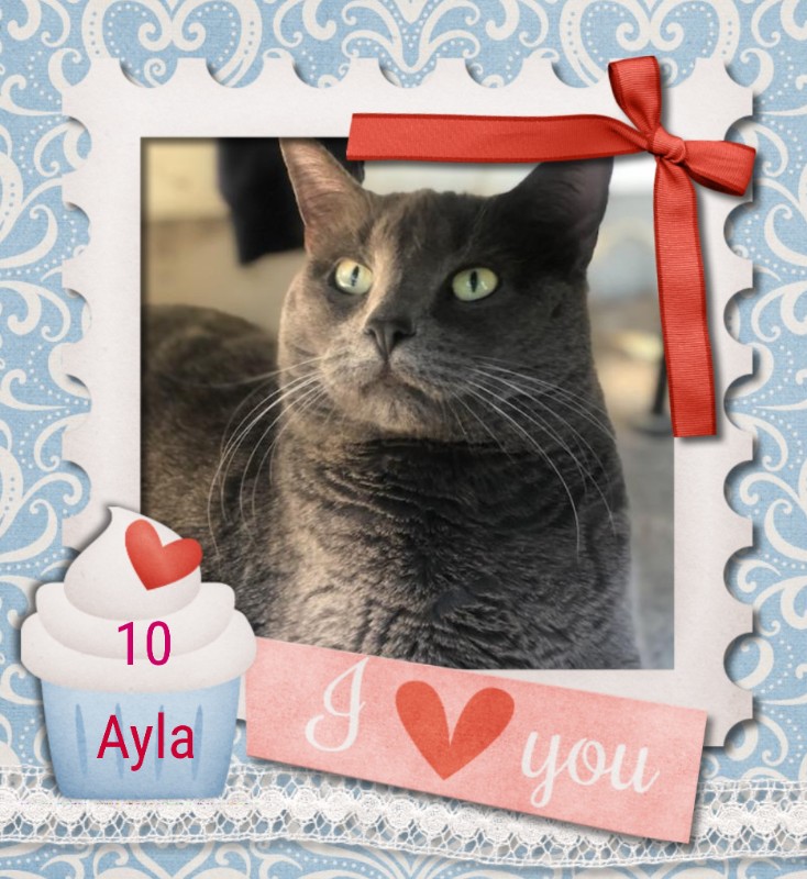 Ayla of the Jax family