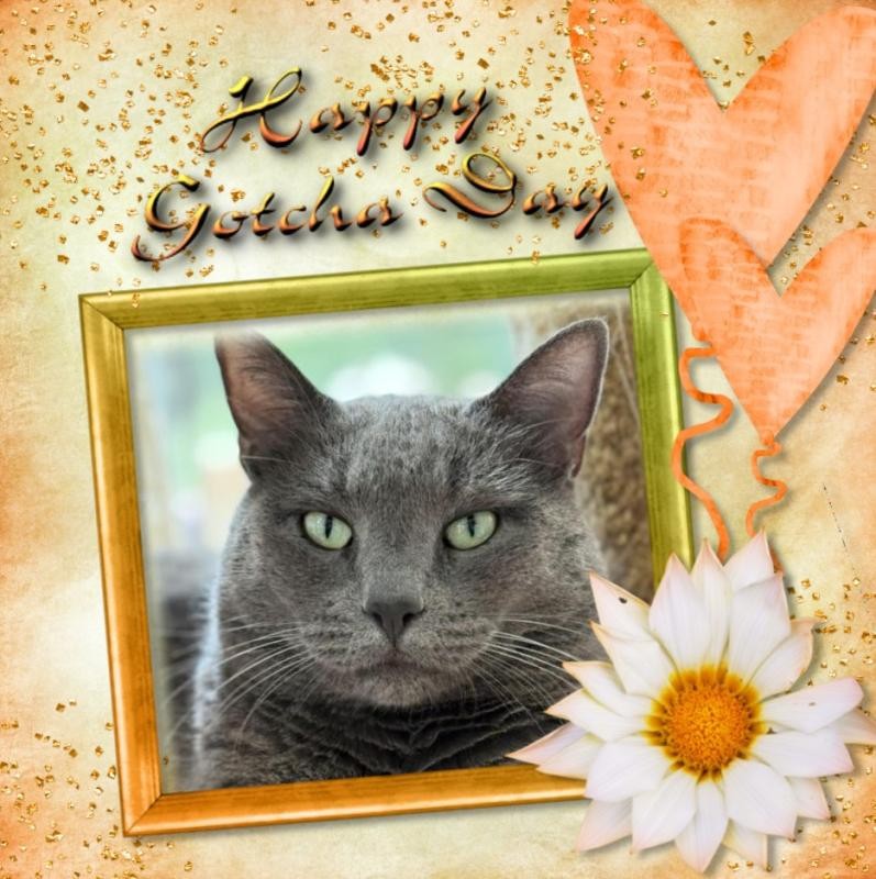 Jax uploaded   53  day/s  ago