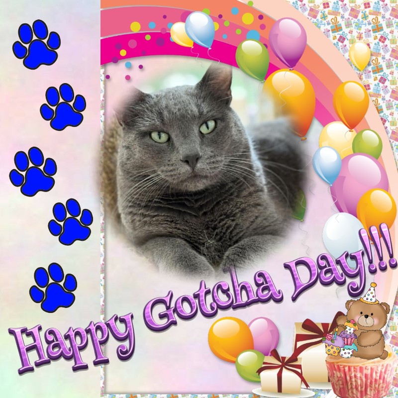 Jax uploaded   53  day/s  ago