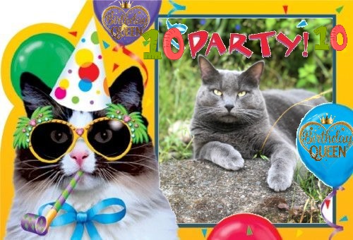 Ayla of the Jax family