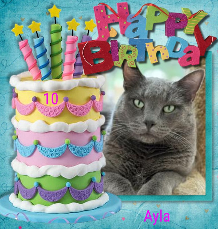 Ayla of the Jax family