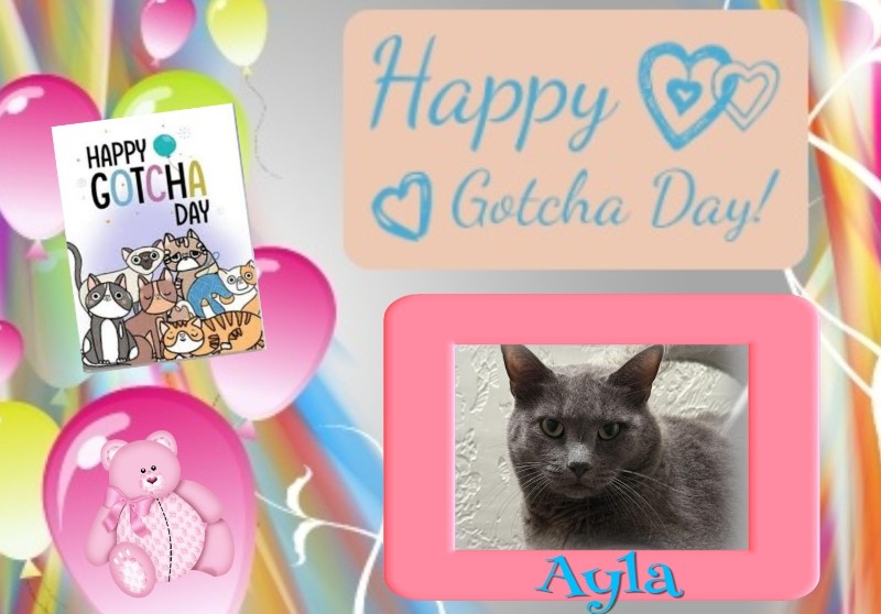 Jax uploaded   53  day/s  ago