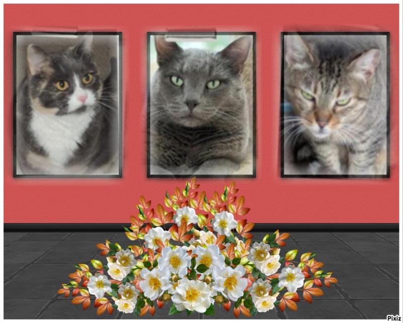 Jax uploaded   47  day/s  ago