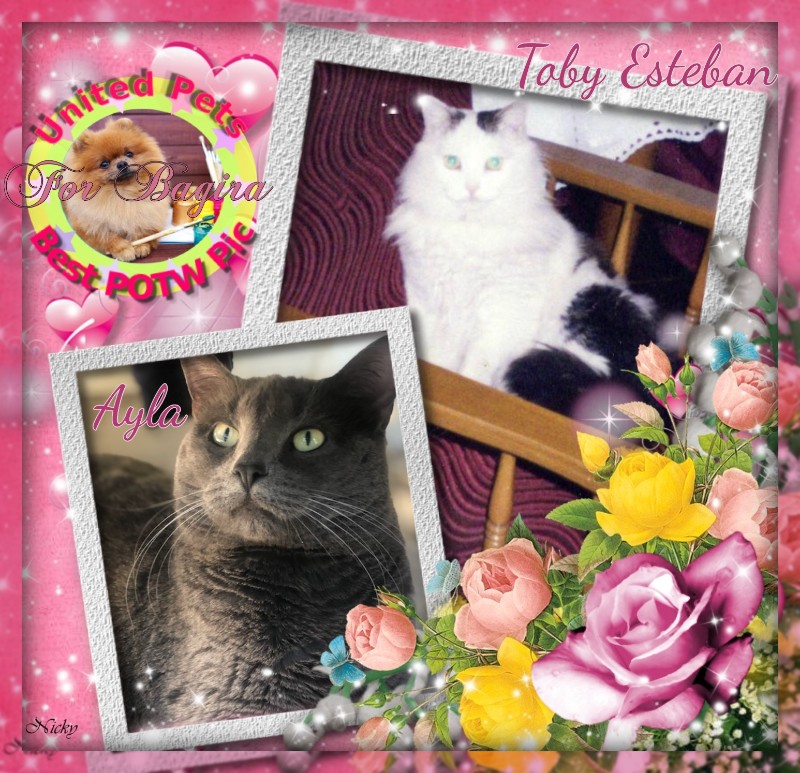 Ayla of the Jax family