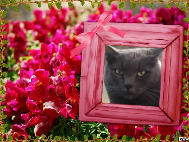 Jax uploaded   1 year/s ago