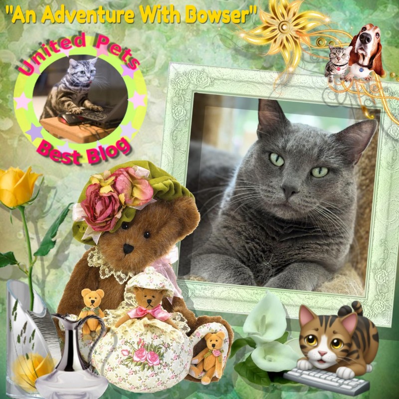 Jax uploaded   44  day/s  ago