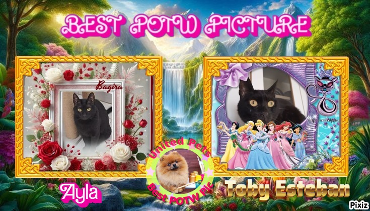 Ayla of the Jax family