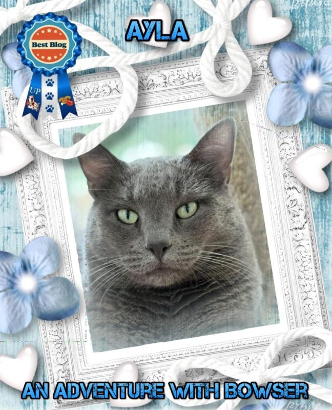 Jax uploaded   49  day/s  ago