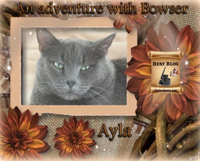 Jax uploaded   44  day/s  ago