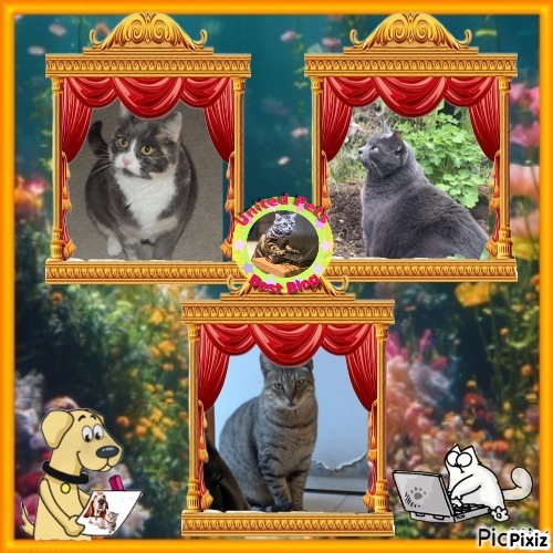 Jax uploaded   49  day/s  ago