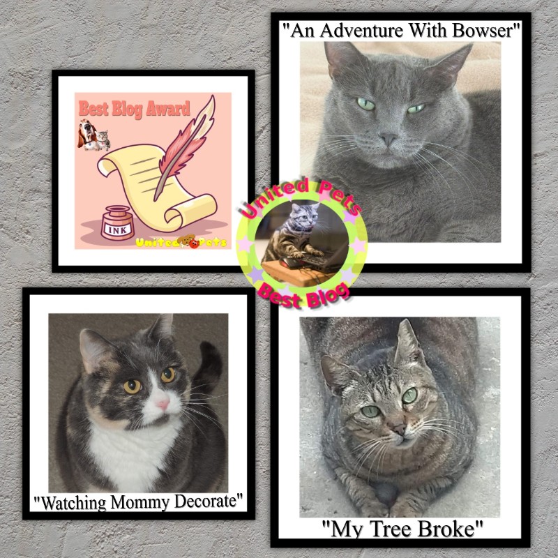 Jax uploaded   49  day/s  ago