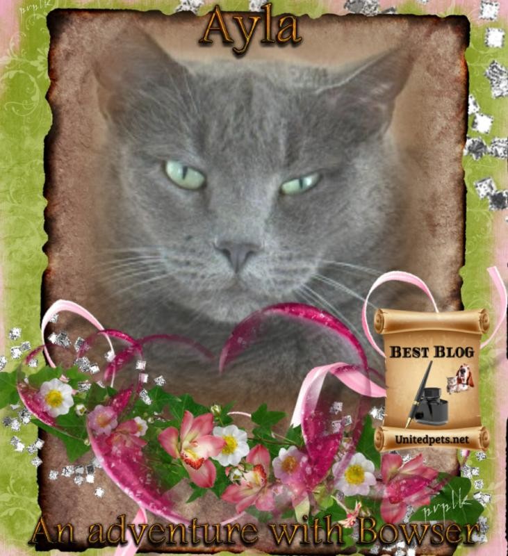 Jax uploaded   47  day/s  ago