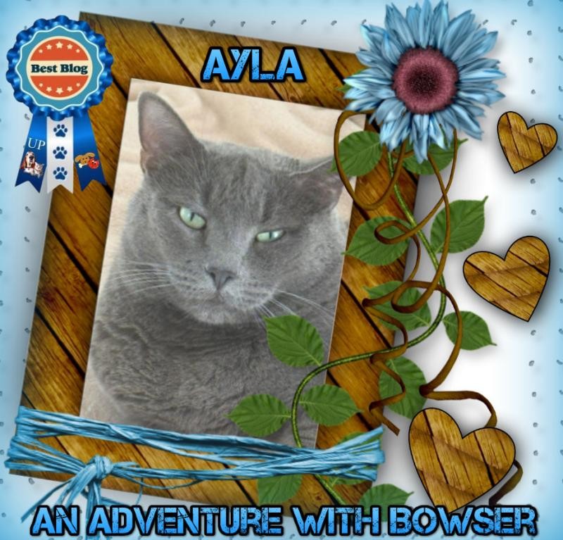 Jax uploaded   44  day/s  ago