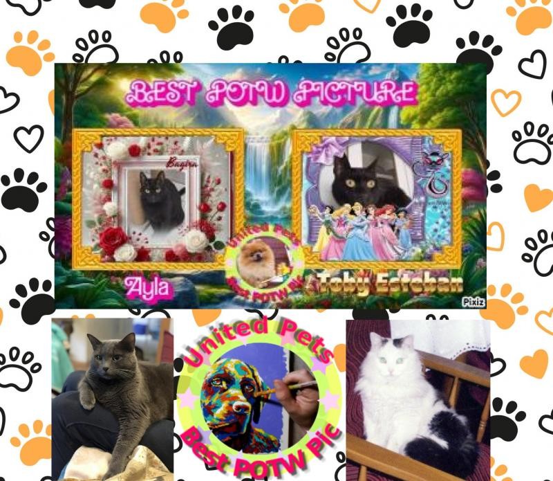 Ayla of the Jax family