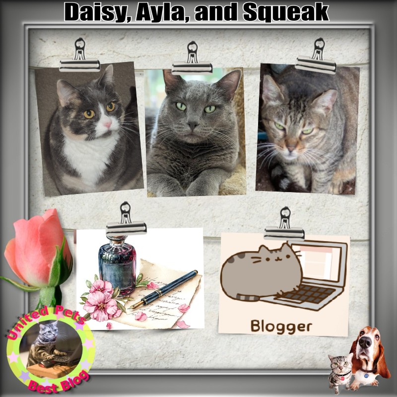 Jax uploaded   47  day/s  ago