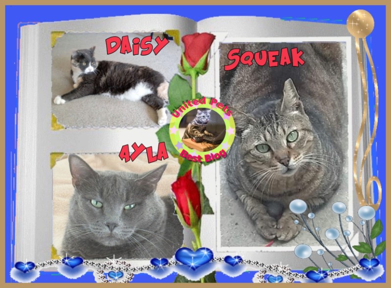 Jax uploaded   44  day/s  ago