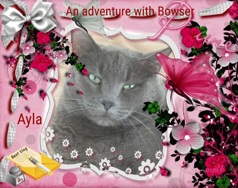 Jax uploaded   49  day/s  ago