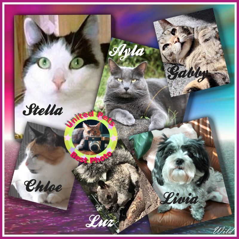 Jax uploaded   18 hour/s ago