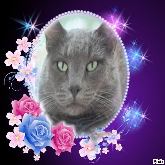 Jax uploaded   49  day/s  ago