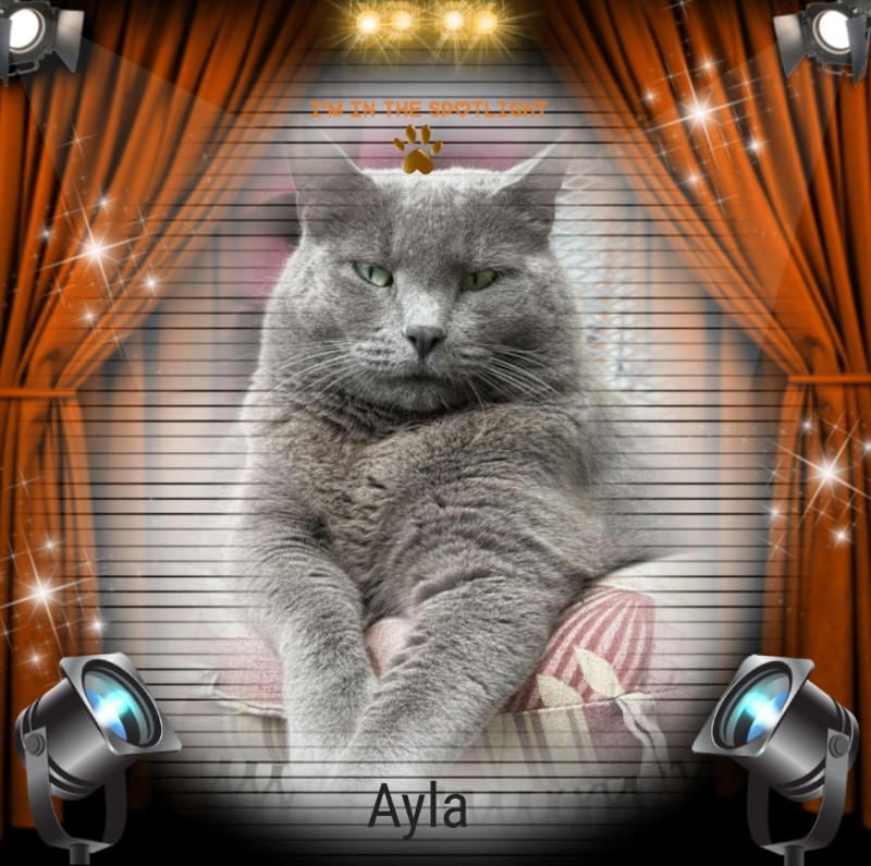 Ayla of the Jax family