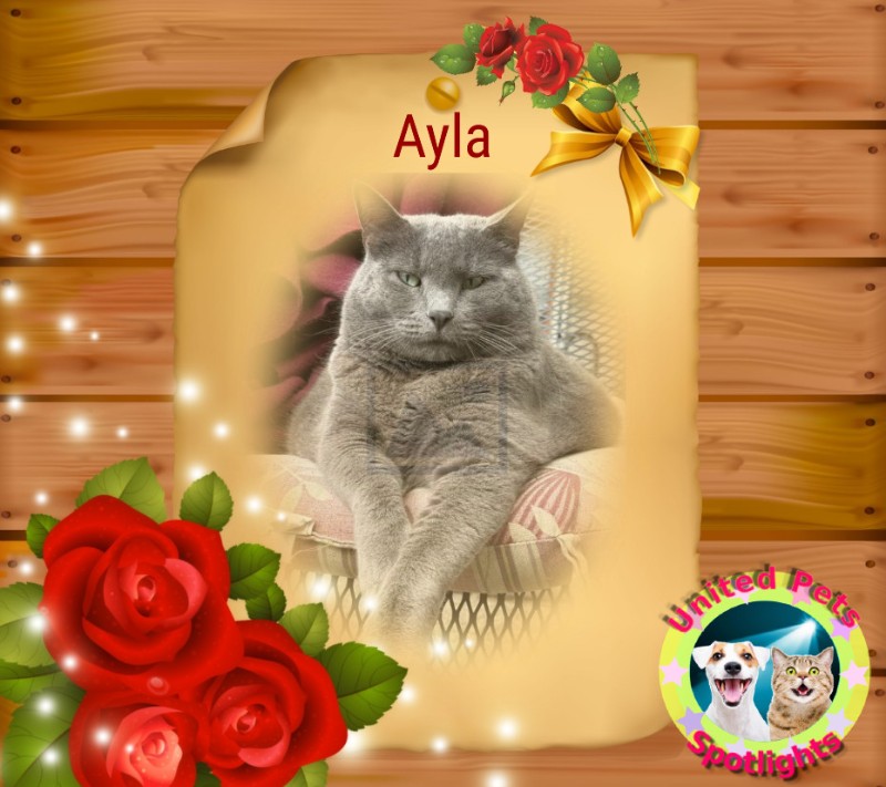 Ayla of the Jax family