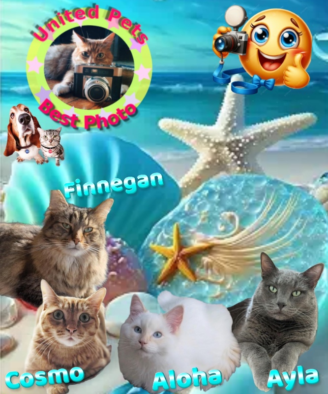 Jax uploaded   1  day/s  ago