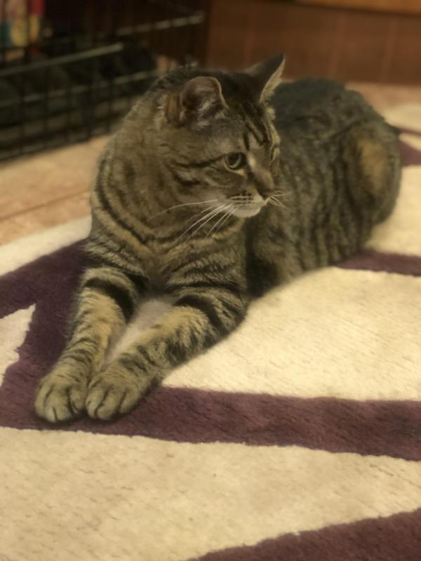 Jax uploaded   1 year/s ago