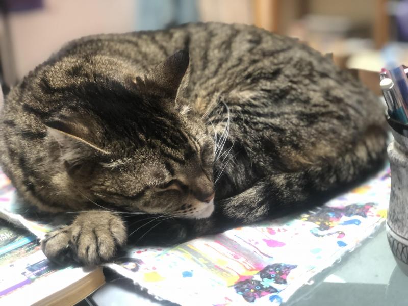 Jax uploaded   1 year/s ago