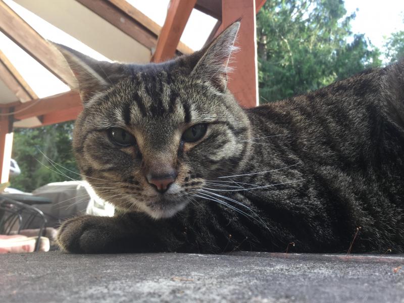 Jax uploaded   1 year/s ago