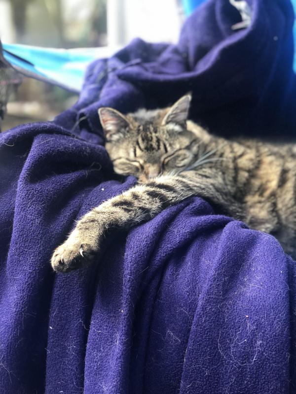 Jax uploaded   313  day/s  ago