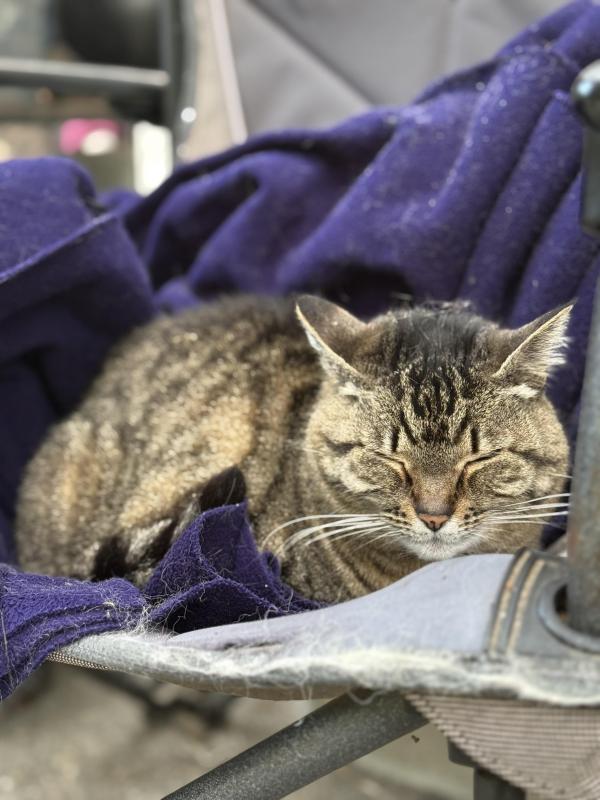 Jax uploaded   306  day/s  ago