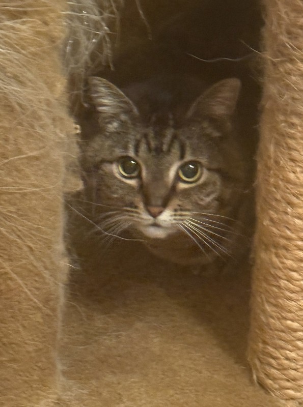 Jax uploaded   18  day/s  ago