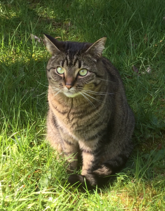 Jax uploaded   3 year/s ago